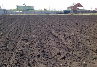 Подготовка почвы под картофель осенью после сбора урожая