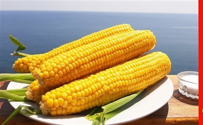 Как сварить кукурузу в початках вкусно и быстро
