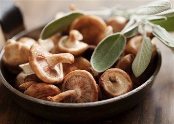 Как готовить грибы шиитаке полезные свойства и рецепты супа 